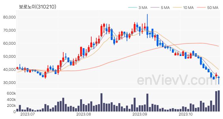보로노이 주가 핵심 요약 분석과 주식 차트 2023.10.24