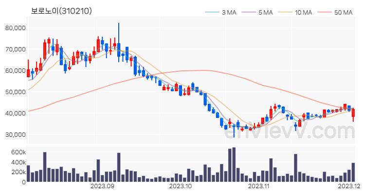 보로노이 주가 핵심 요약 분석과 주식 차트 2023.12.04