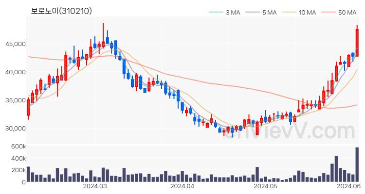 보로노이 주가 핵심 요약 분석과 주식 차트 2024.06.05