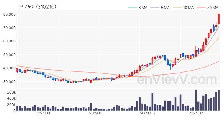 보로노이 주가 핵심 요약 분석과 주식 차트 2024.07.12