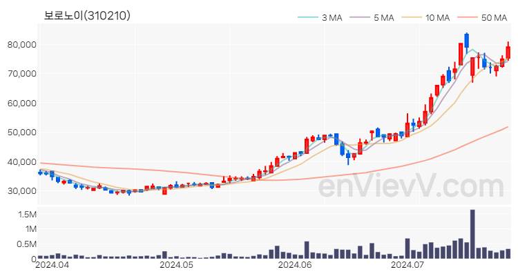 보로노이 주가 핵심 요약 분석과 주식 차트 2024.07.24
