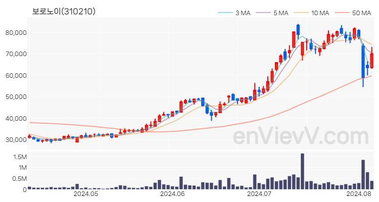 보로노이 주가 핵심 요약 분석과 주식 차트 2024.08.07