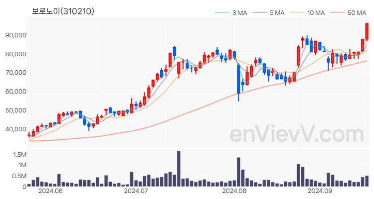 보로노이 주가 핵심 요약 분석과 주식 차트 2024.09.20