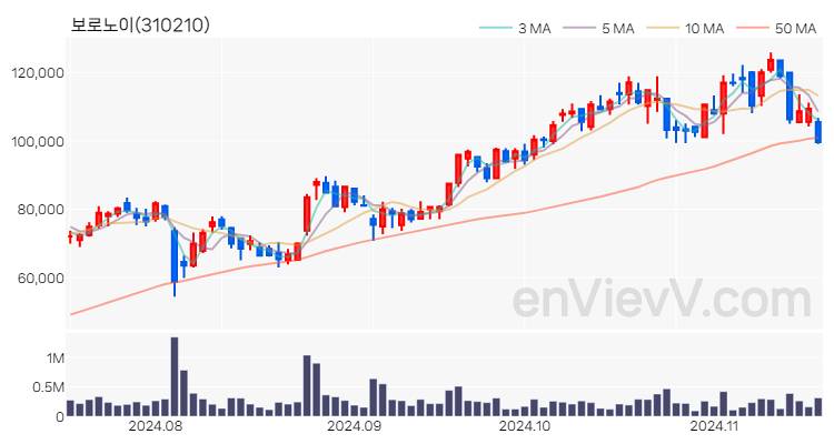 보로노이 주가 핵심 요약 분석과 주식 차트 2024.11.18
