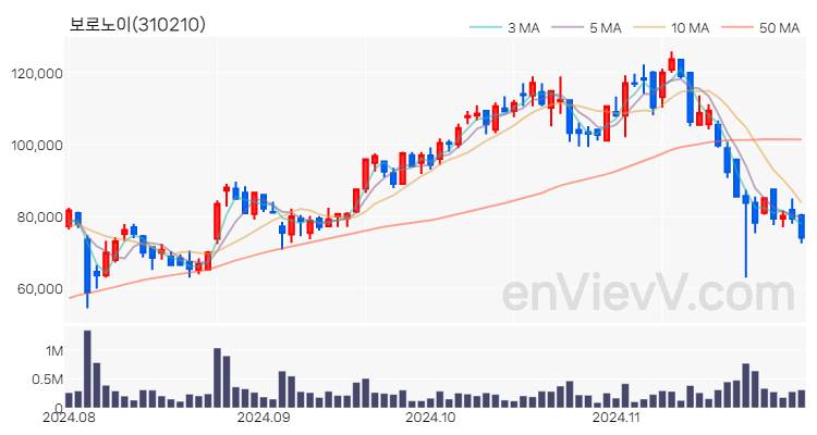 보로노이 주가 핵심 요약 분석과 주식 차트 2024.11.29
