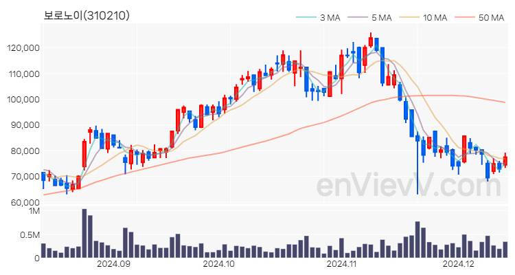 보로노이 주가 핵심 요약 분석과 주식 차트 2024.12.12
