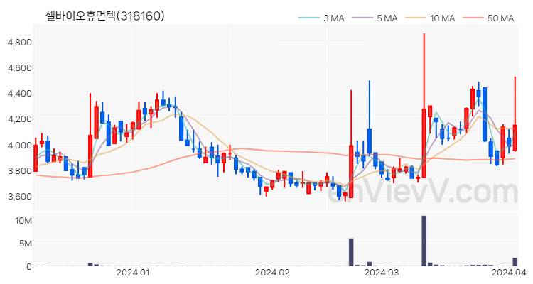 셀바이오휴먼텍 주가 핵심 요약 분석과 주식 차트 2024.04.03