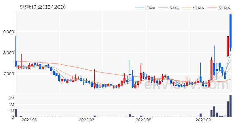 엔젠바이오 주가 핵심 요약 분석과 주식 차트 2023.09.15