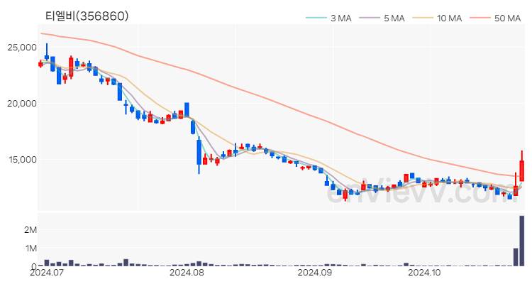 티엘비 주가 핵심 요약 분석과 주식 차트 2024.10.28
