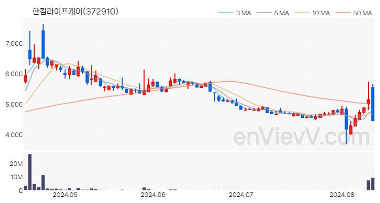 한컴라이프케어 주가 핵심 요약 분석과 주식 차트 2024.08.13