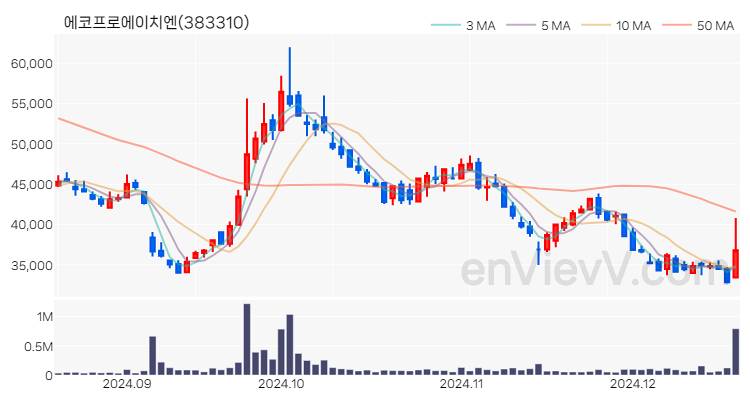 에코프로에이치엔 주가 핵심 요약 분석과 주식 차트 2024.12.18