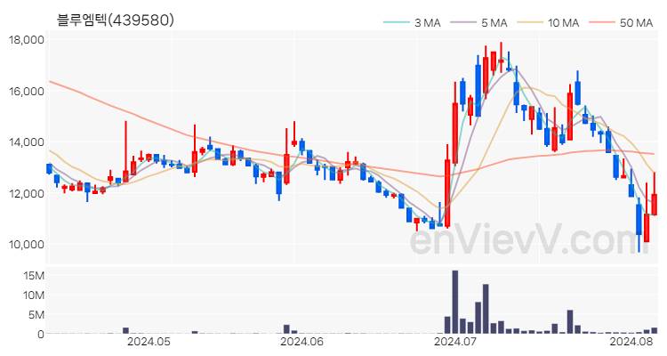 블루엠텍 주가 핵심 요약 분석과 주식 차트 2024.08.07