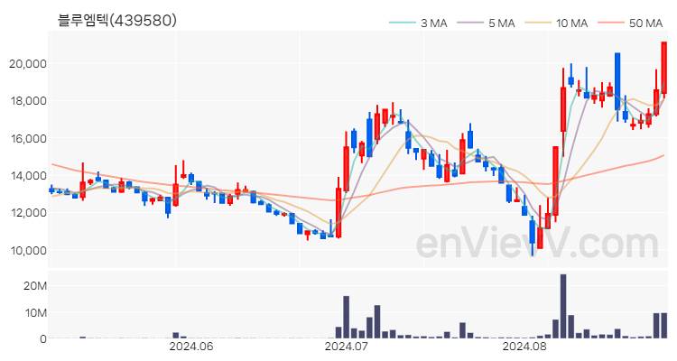 블루엠텍 주가 핵심 요약 분석과 주식 차트 2024.08.29